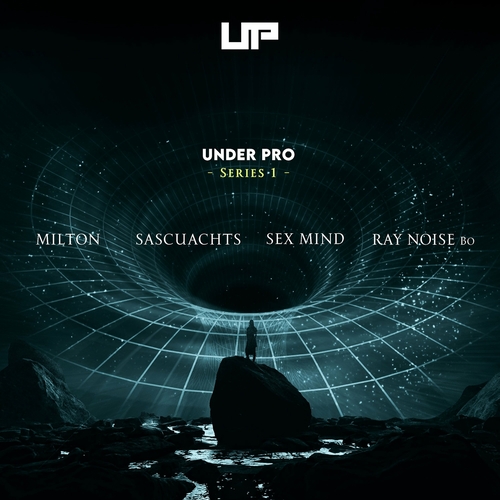 VA - Under Pro Series 1 [UNP027]